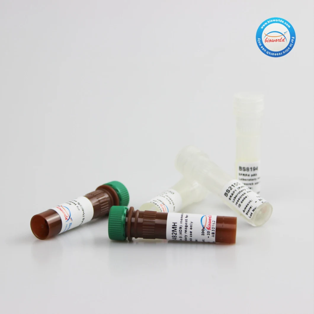 Primary Antibody Dilution Buffer