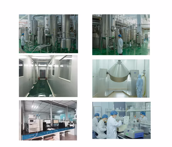 Fornecimento de extrato de calota craniana de Baikal Baicalin em pó